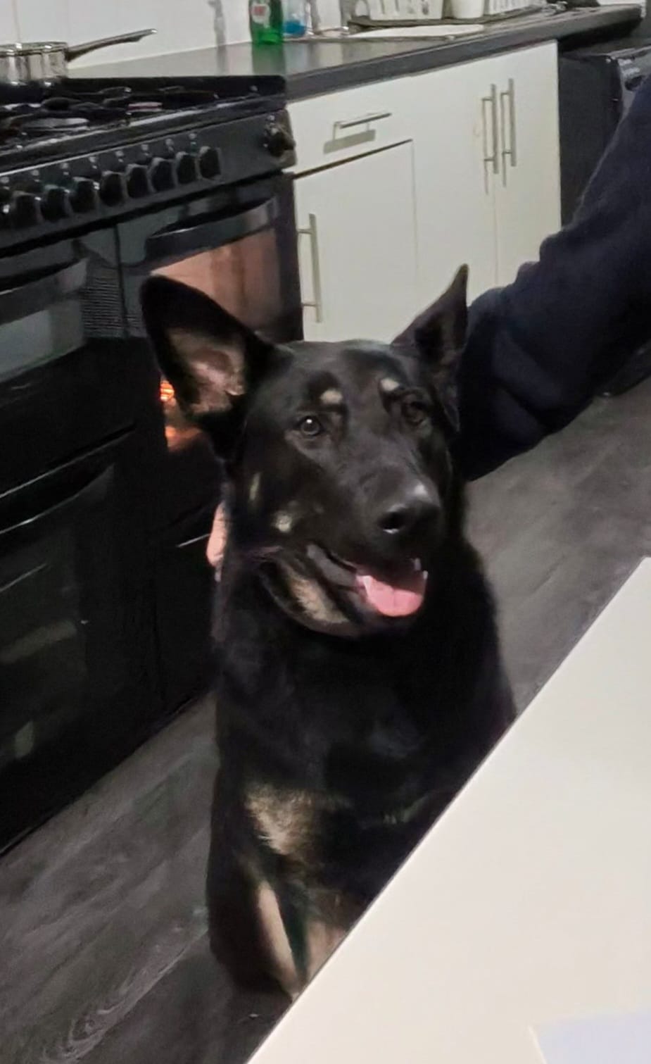 SAFFIE - MILTON KEYNES